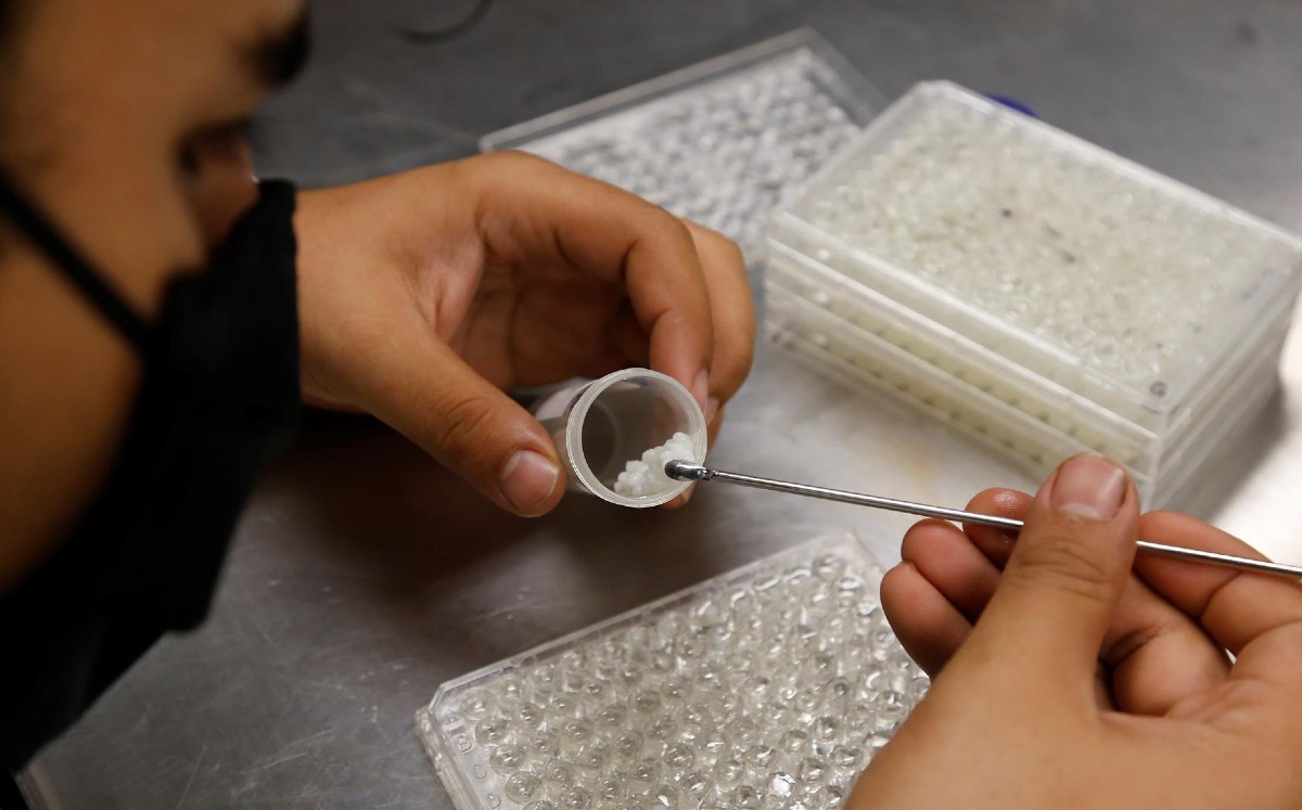 Científicos mexicanos encapsulan vitamina A (EFE).