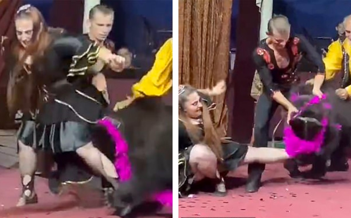 Dos hombres intentaron separar al animal de la mujer. (The Siberian Times)