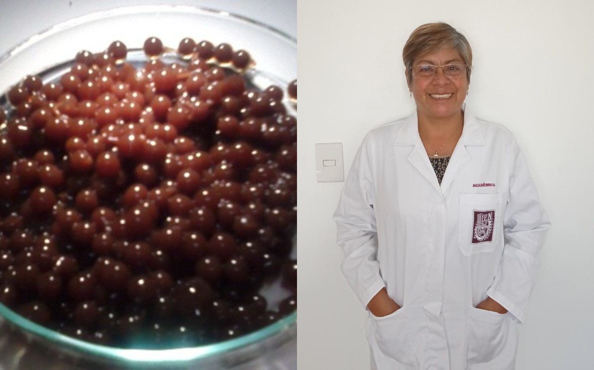Rosas Morales espera que esta investigación siente las bases para explorar nuevos mercados | Especial