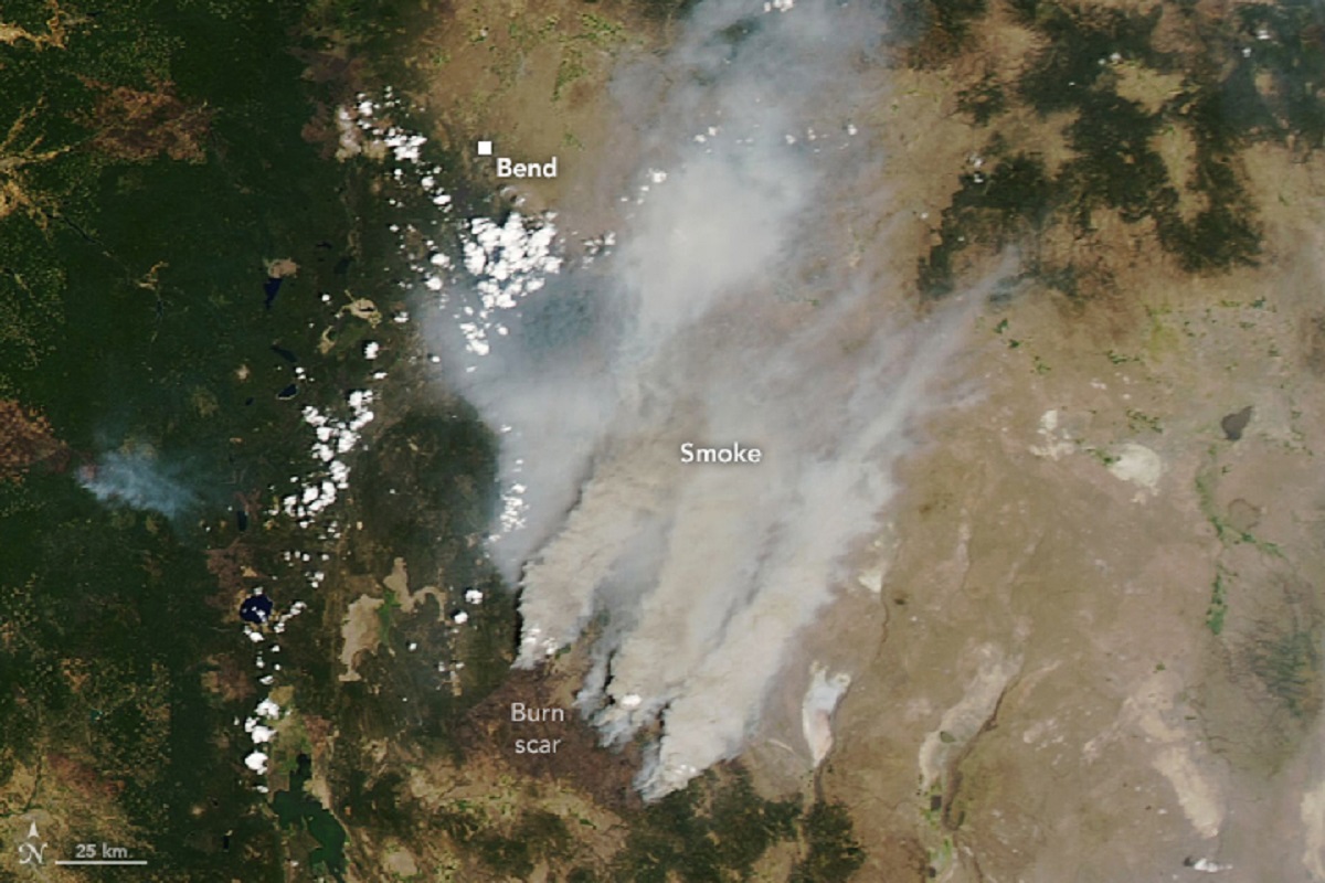 Un satélite de la NASA captó el humo generado por el incendio 'Bootleg'. (Especial)