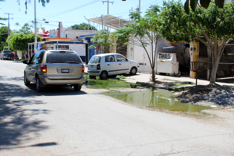 A los vecinos ya no les extraña el pavimento roto, el olor fétido y las lagunas verdosas. (Lilia Ovalle)