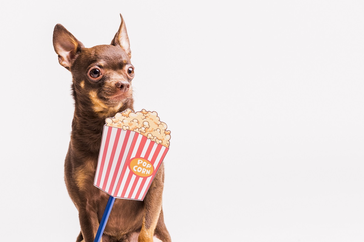 Disfruta de esta película con la compañía de tu perrito en este día. (freepik.es)