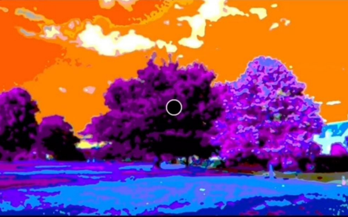La extraña ilusión óptica que te hará ver blanco y negro a color (TikTok).
