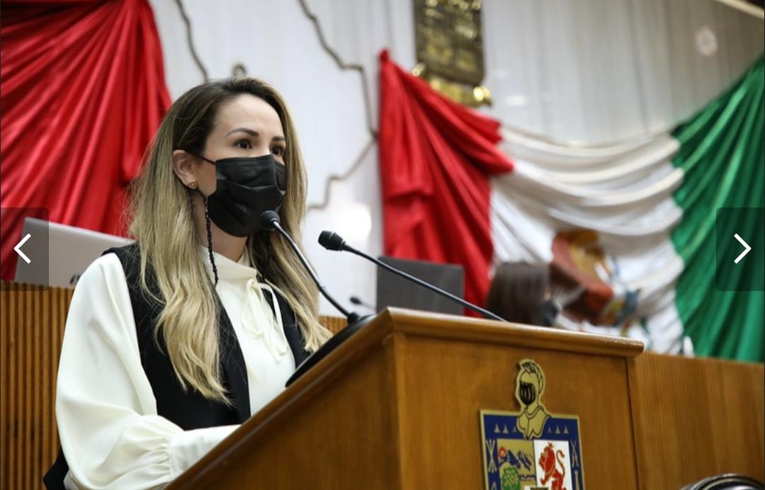 Mariana González, diputada del PRI y promovente de la iniciativa, explicó que la reforma, que contempla un nuevo capítulo con cinco artículos, es en h
