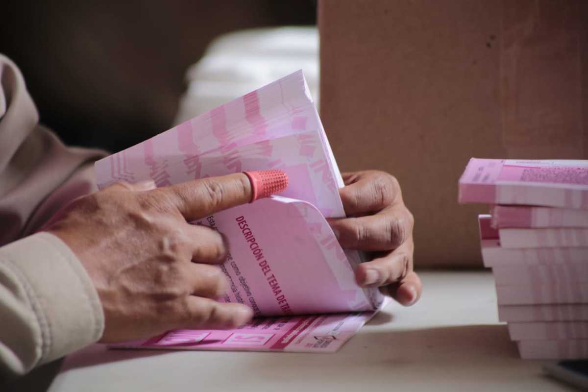 Boletas para consulta popular. | Tania Contreras