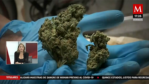 ¿Qué necesito para fumar mariguana?