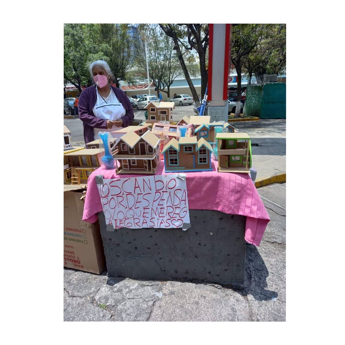 Abuelita intercambia casas de cartón por despensa | Twitter/@mterev03