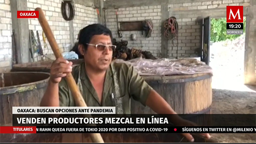 Venden productores de Oaxaca mezcal en línea