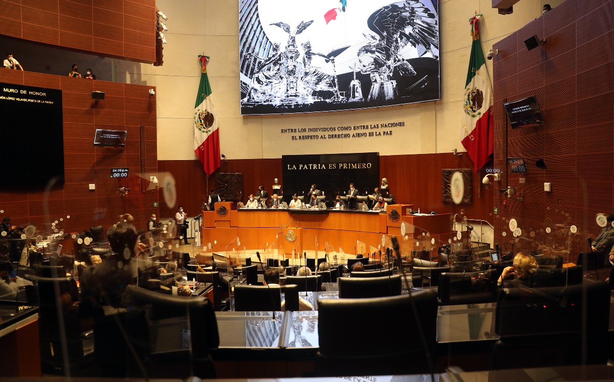 El dictamen presentado para convocar este jueves al extraordinario fue votado a favor por 20 legisladores. | Cámara de Diputados