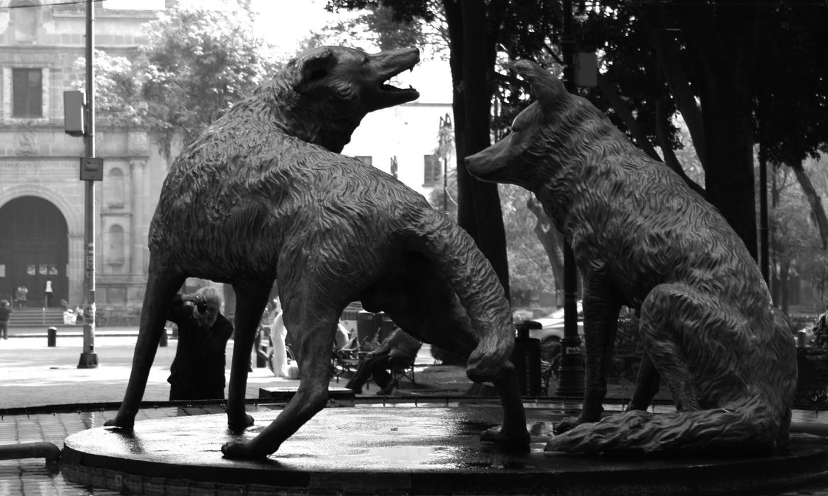 Fuente de los Coyotes | Fundaciongabrielponzanelli.org