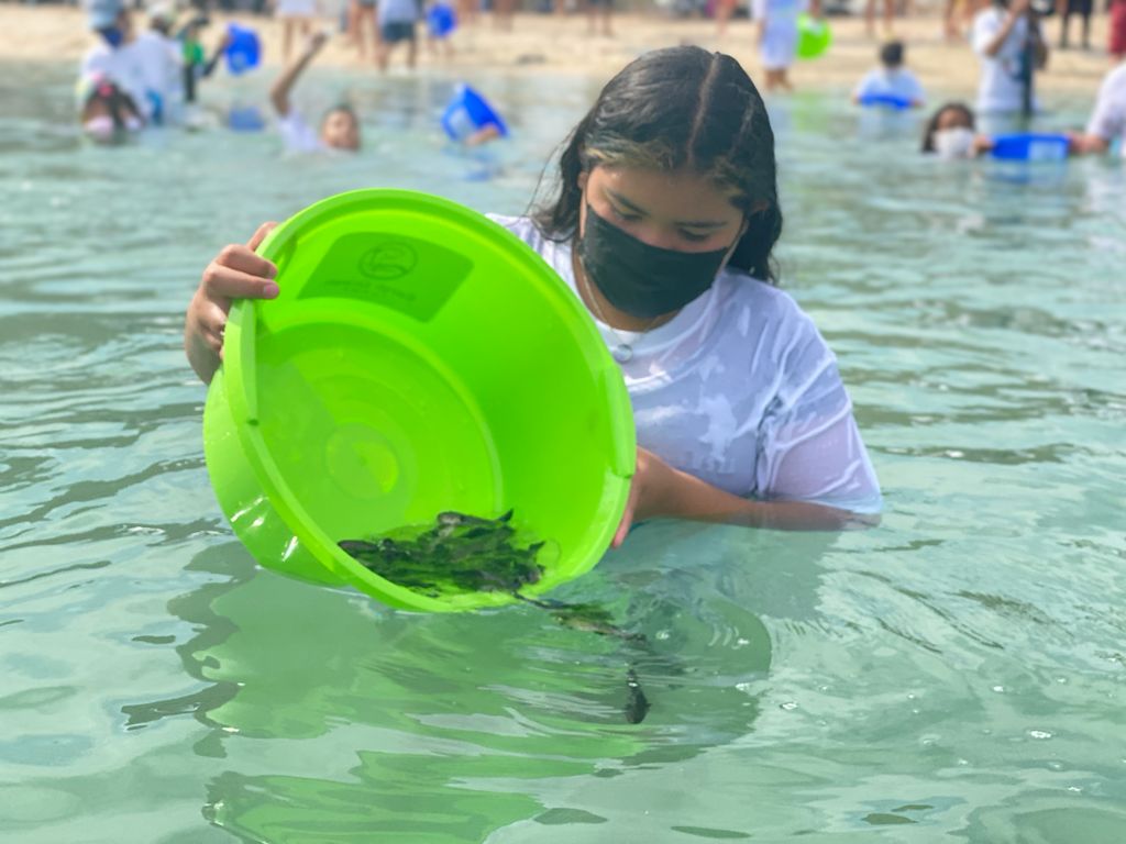 La liberación se llevó a cabo en Playa Santispac, Municipio de Mulegé. (Cortesía)