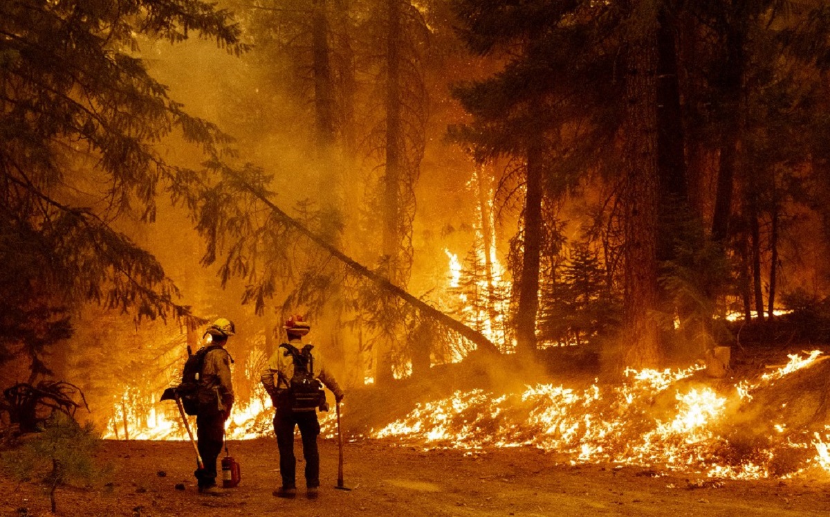 Miles de bomberos han sido desplegados al oeste de EU para combatir las llamas. (AFP)