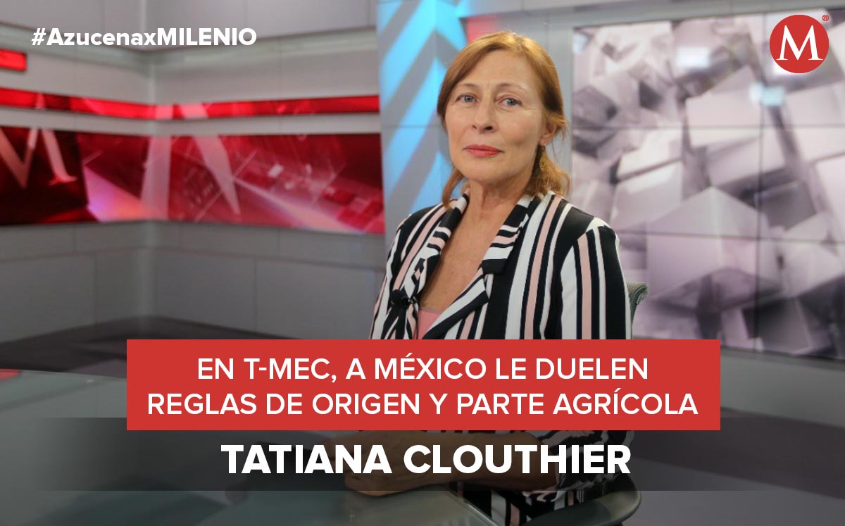 Tatiana Clouthier, secretaría de Economía, aseguró que hay diferencias con Estados Unidos| Foto: Especial.