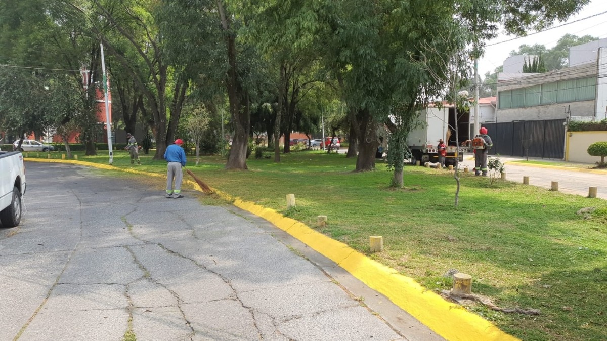Los vecinos afectados ya estaban desesperados, señalaron.