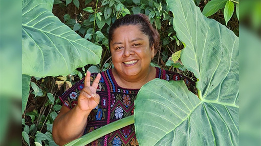 Murió Martha Sánchez, activista indígena de Guerrero