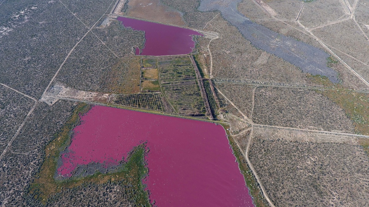 Dos lagunas quedaron contaminadas en Chubut, Argentina. (Reuters)