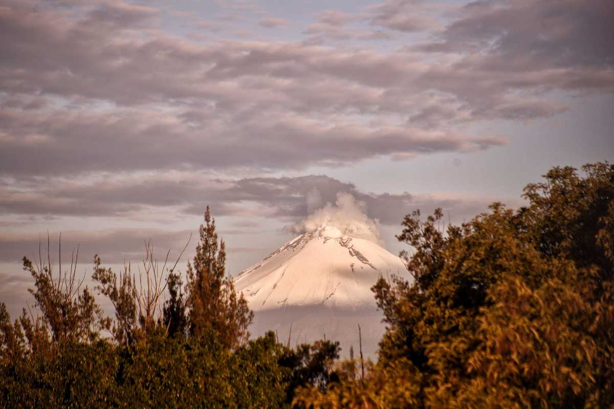 Las copas de los árboles del Parque Juárez lucen frente al volcán Popocatépetl al amanecer | Andrés Lobato