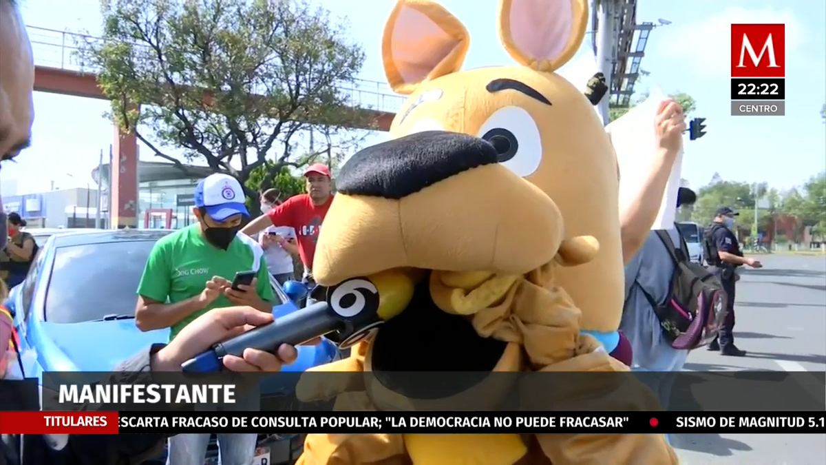 Marchan en Edomex para exigir justicia por muerte del perrito Silver