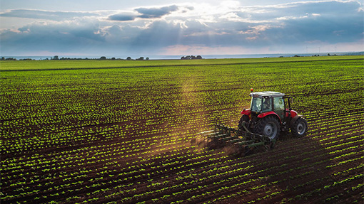 Bayer propone herramientas para aumentar cultivos