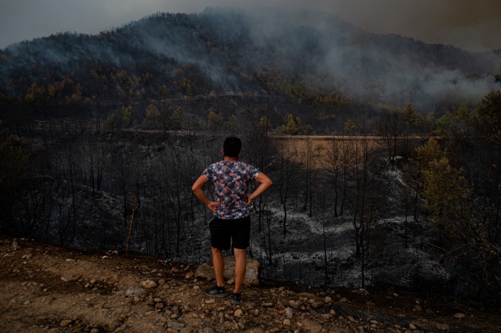 Las altas temperaturas se están convirtiendo en la peor canícula para Turquía, Grecia y Chipre. (AFP)