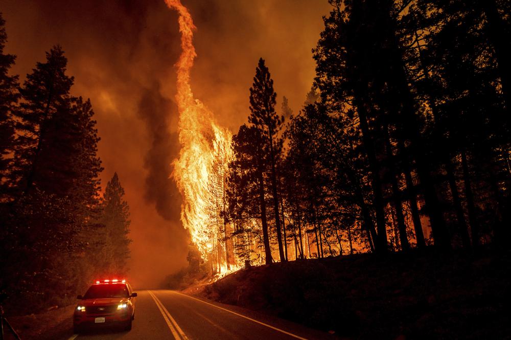 Incendio forestal en California. / Fotografía: AP.
