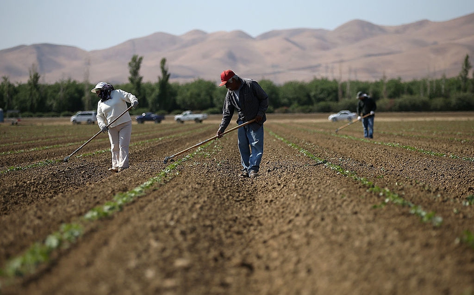 Agricultores en California. Fotografía: archivo.