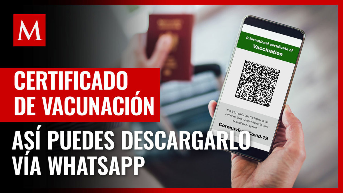 Certificado de vacunación covid: cómo descargarlo vía WhatsApp