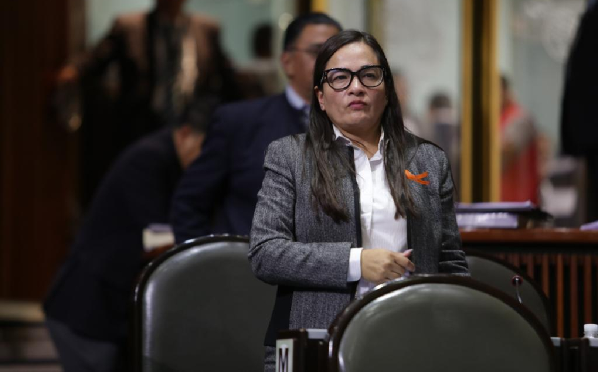 La coordinadora perredista pidió no desatender las impugnaciones y resoluciones electorales pendientes. (PRD en San Lázaro)