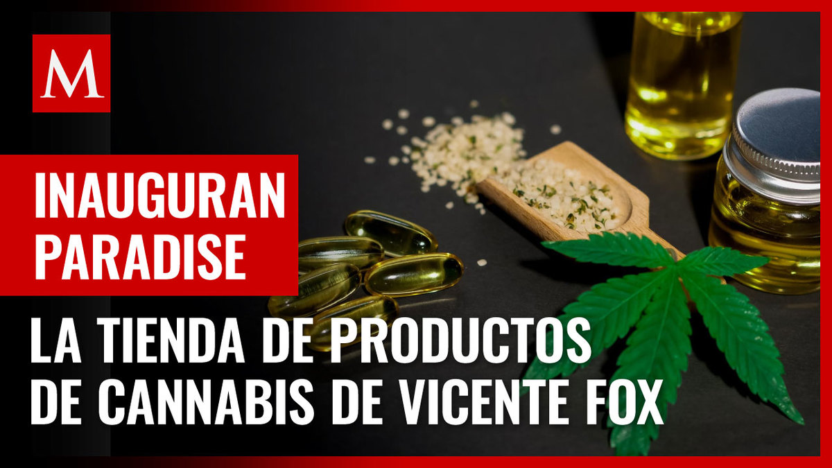 Inaugura Vicente Fox negocio de marihuana en León