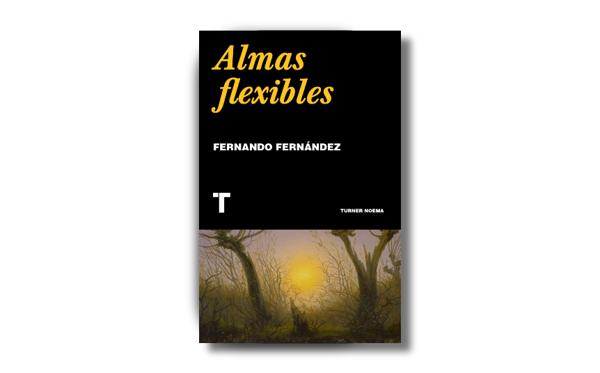 Portada de 'Almas flexibles', de Fernando Fernández. (Turner)