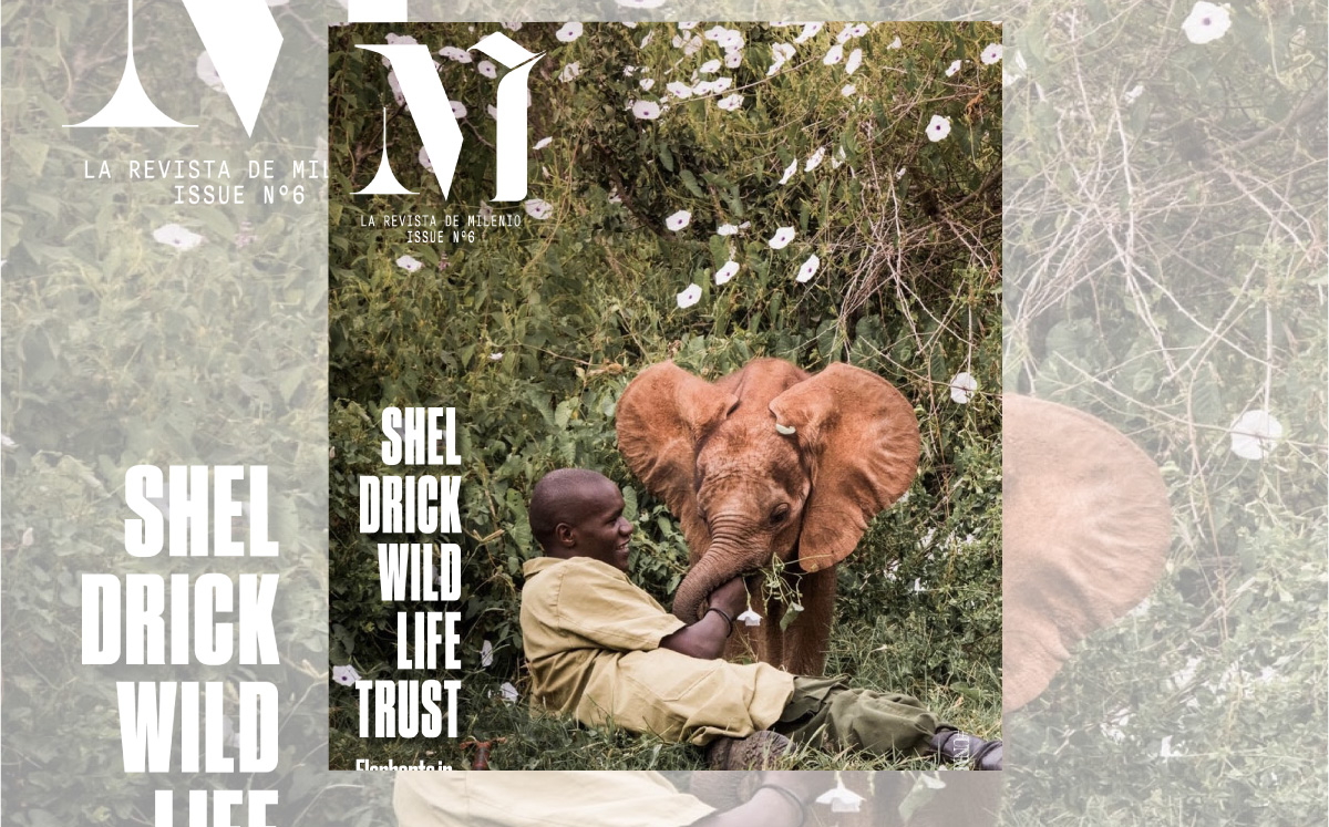 Sheldrick Wildlife Trust  es una organización de conservación sin fines de lucro | Especial