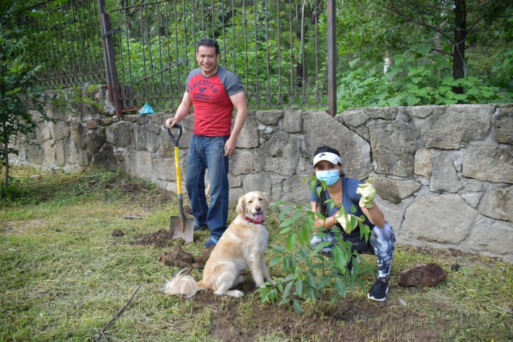 En lo que va del año se han realizado 45 reforestaciones.