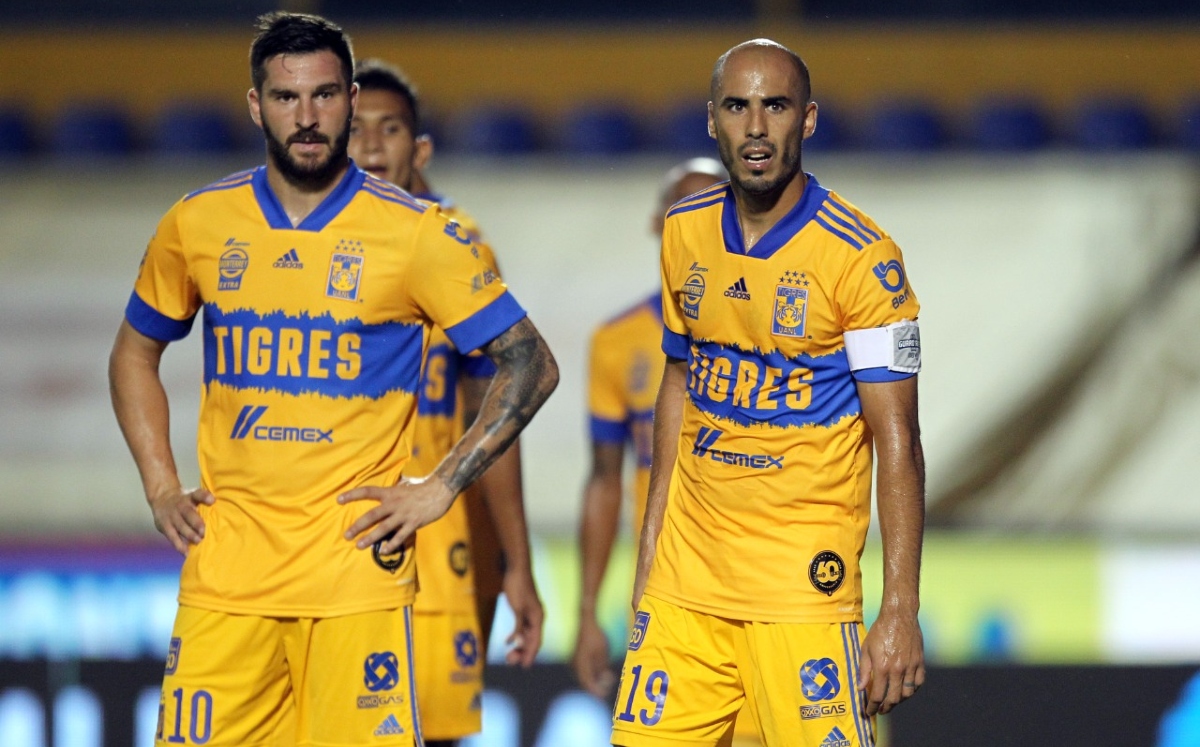 Tigres (Imago 7)
