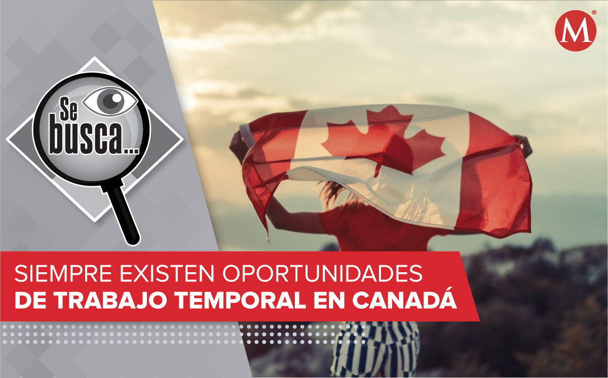 Canadá y México coordinan un mecanismo que impulsa el flujo de trabajadores temporales. Foto: ESPECIAL