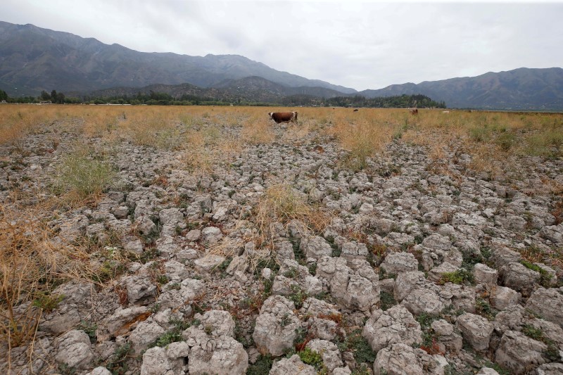 La sequía se puede agravar en el mundo debido a la crisis climática. (Reuters)