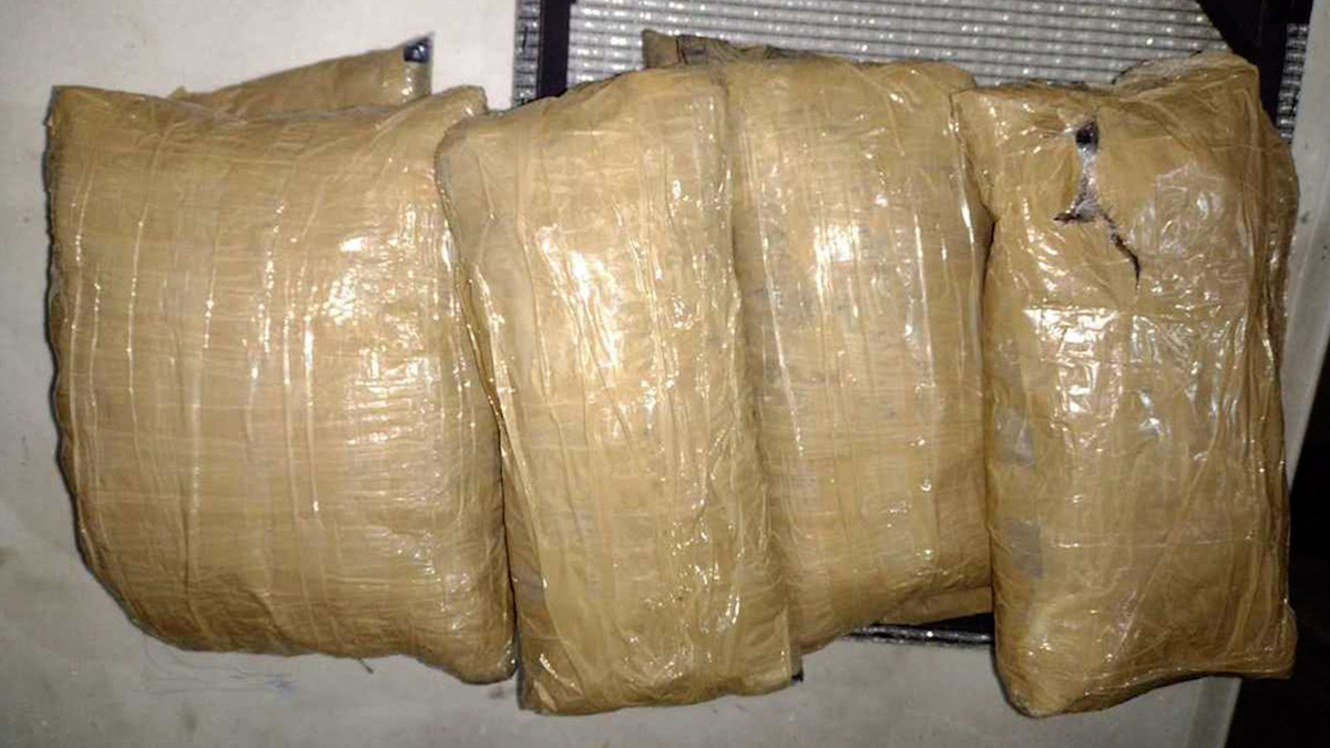 Detectan drogas en Aeropuerto de Toluca; ¿el destino? más de 10 ciudades del país