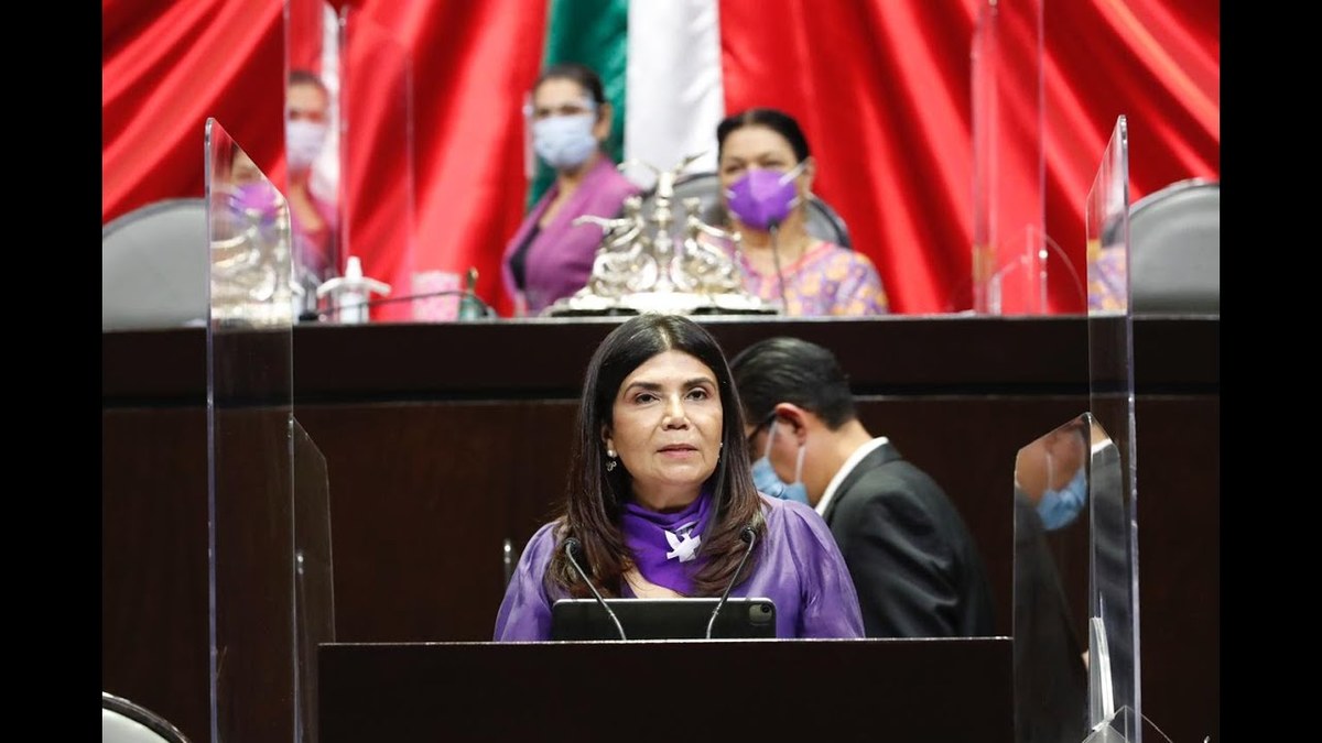 Pilar Ortega, presidente de la Comisión de Justicia. Redes sociales.