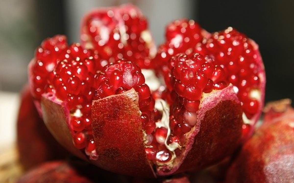 Aprovecha los beneficios que esta fruta le aporta a tu cuerpo (Pixabay).