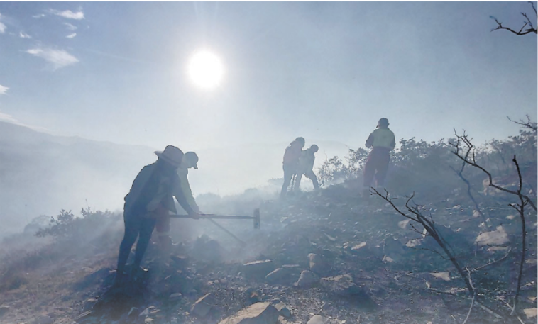 Los incendios devastadores y las inundaciones sin control son producto del abuso que los seres humanos hemos hecho con la Tierra. Fotos: R. Alanís