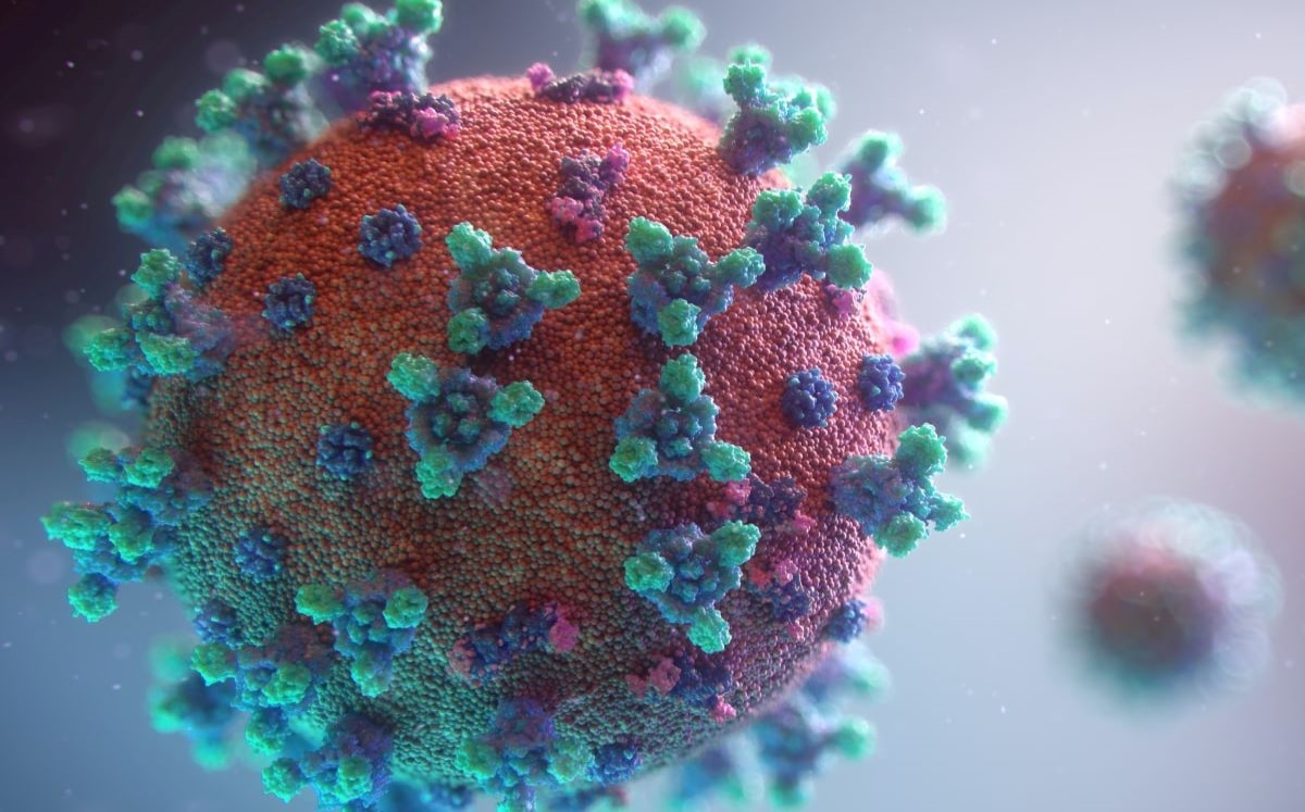 La variante lambda es infecciosa que el virus original. (Unsplash)