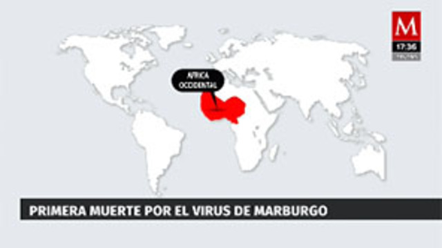 Virus de Marburgo, una enfermedad más letal que el Ébola y relacionada con el cambio climático