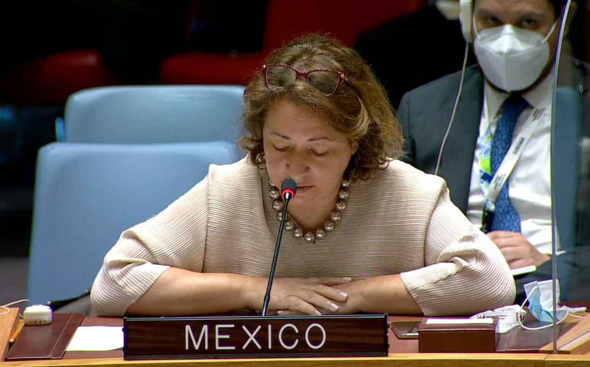 Alicia Buenrostro, representante alterna de México ante las Naciones Unidas. | Captura