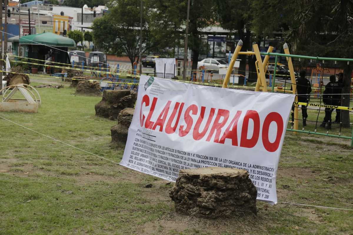 Smadsot clausura parque Analco por tala de palmeras | Andrés Lobato