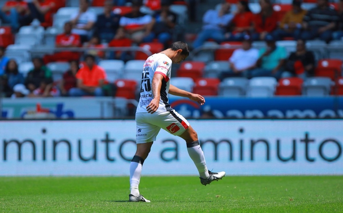 Continúa proceso legal contra responsables de la venta de Lobos BUAP | Imago7/Archivo