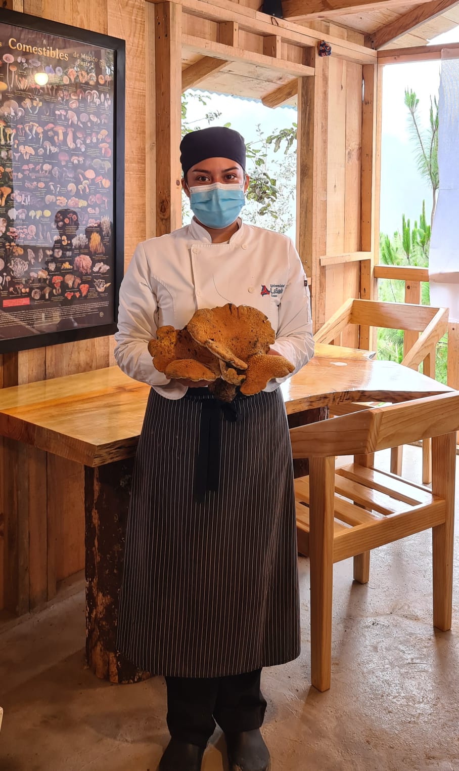 Durante la época de lluvias, los hongos se transforman en una parte fundamental de la cocina oaxaqueña. (Milenio Digital)