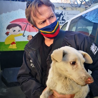Fundador de ONG se niega a irse de Afganistán sin todos los perros que ayuda. (Twitter: @PenFarthing).