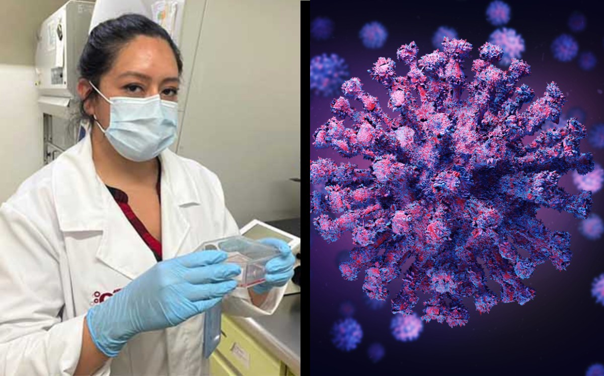 IPN: así funciona el biofármaco que tiene eficacia del 90% para tratar covid-19. (Especial)