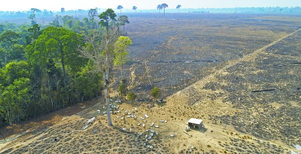 La sequía se agravó con una inusual sucesión de masas de aire polar durante las últimas semanas. André Penner/AP