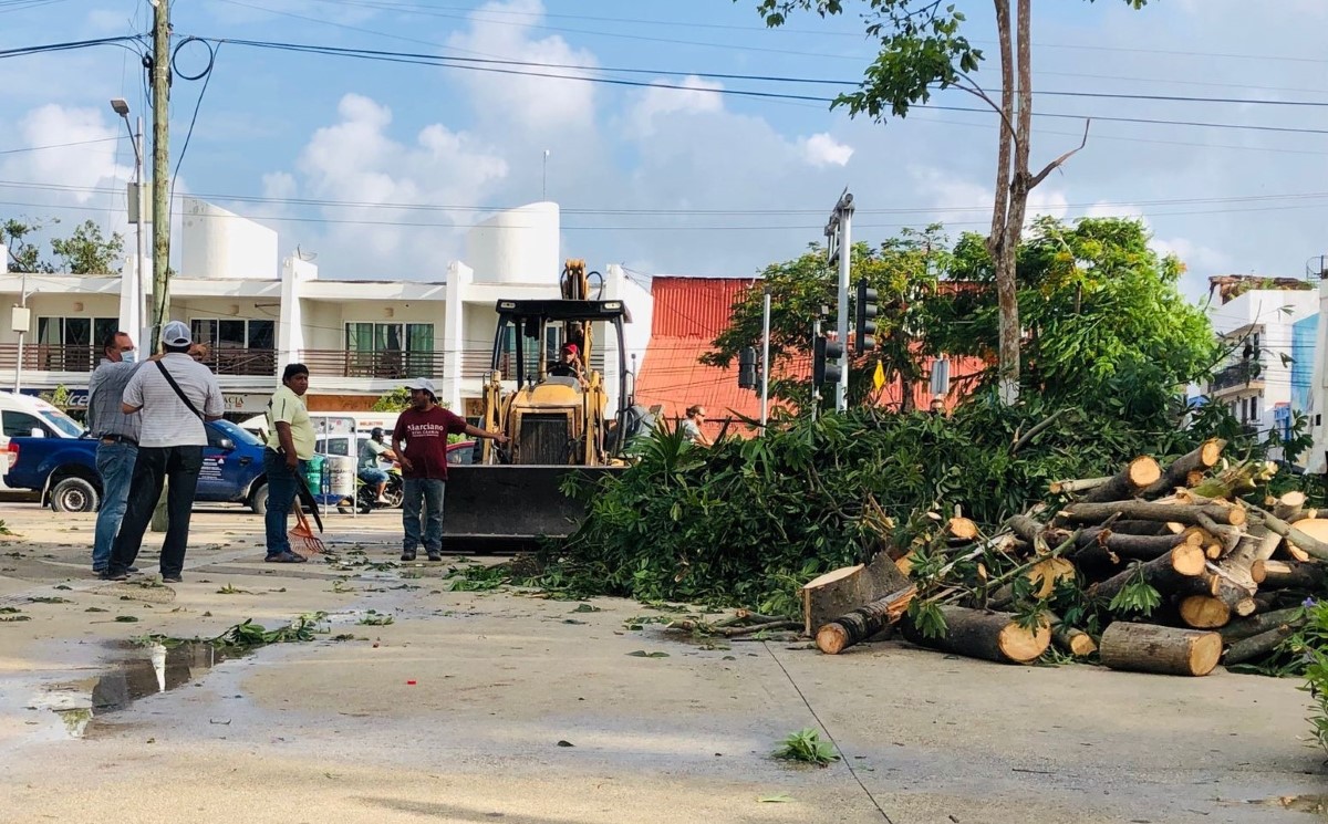 El huracán tiró varios árboles sobre las calles en Tulum. | Fanny Martínez