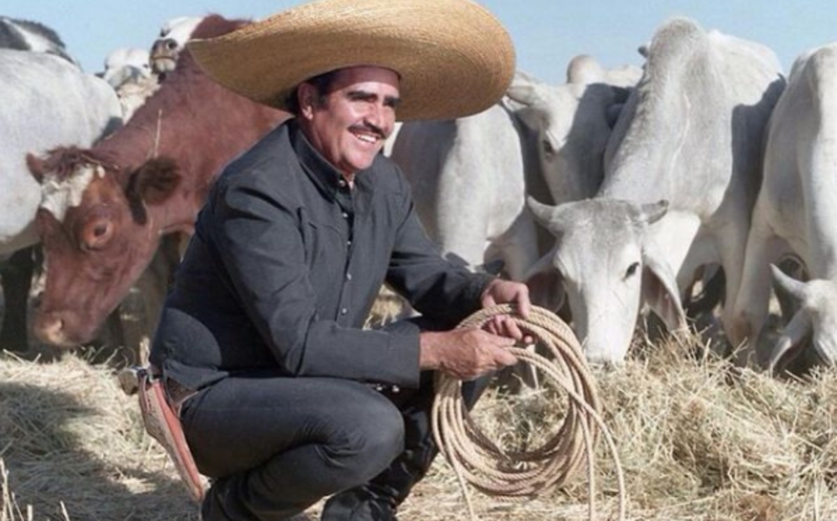 El cantante Vicente Fernández Gómez Foto: Instagram @_vicentefdez